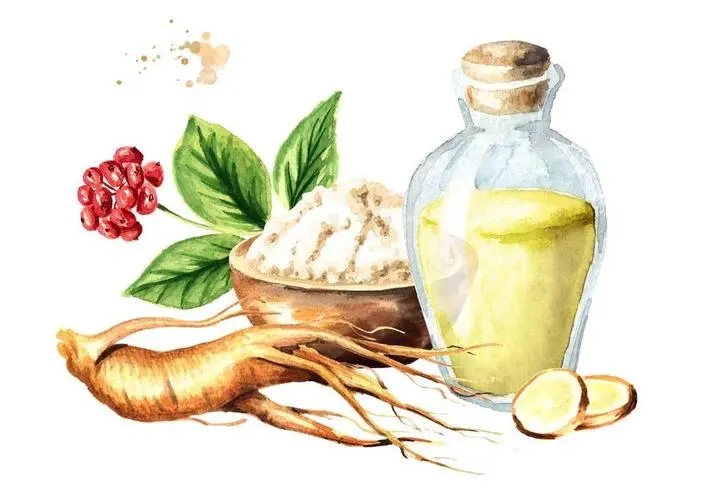 人参皂苷能提高免疫力吗？人参皂苷免疫调节的作用机制