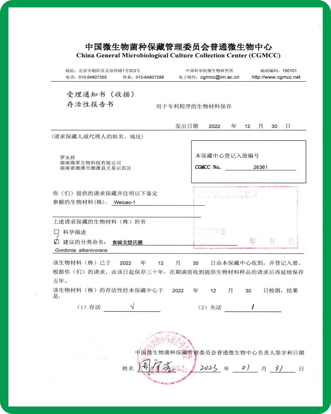 食碱戈登氏菌 weicao-1