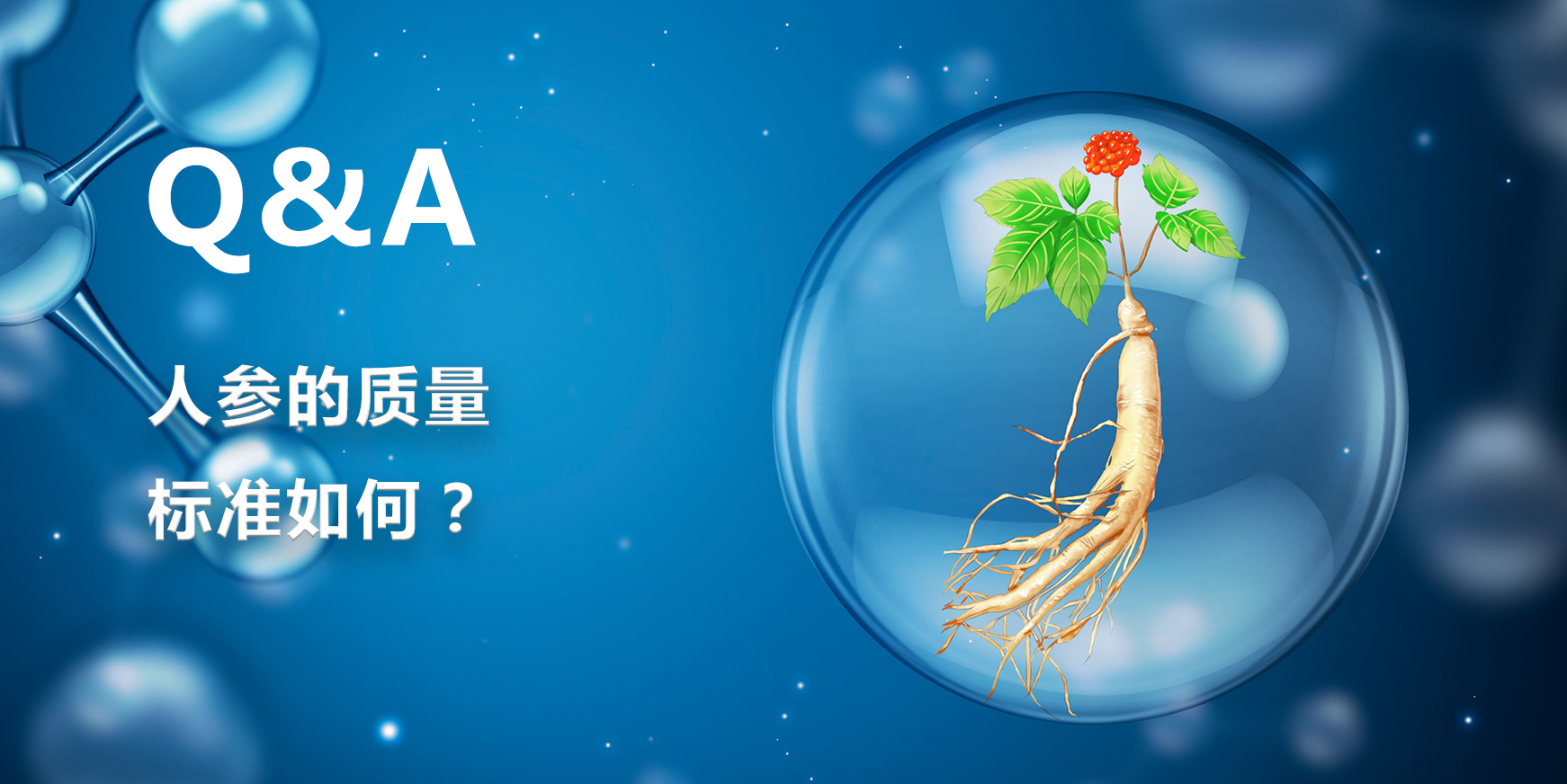 人参质量标准如何？